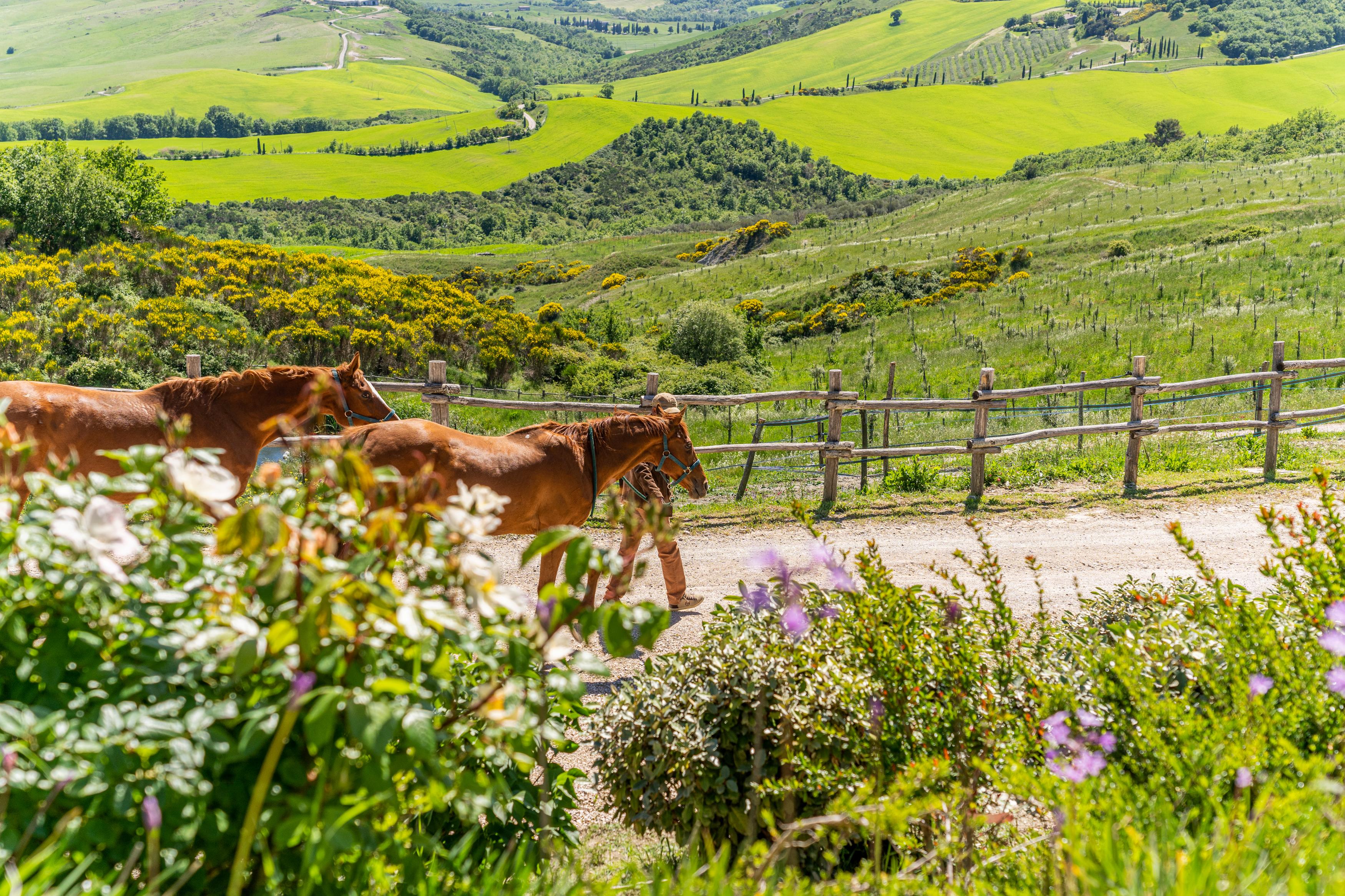 Podere Val D'Orcia - Tuscany Equestrian Sarteano Exterior foto