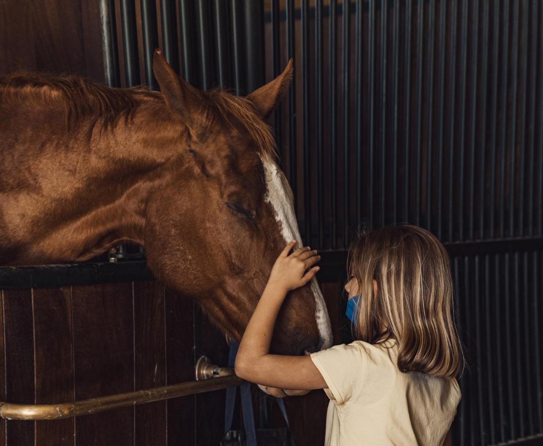 Podere Val D'Orcia - Tuscany Equestrian Sarteano Exterior foto